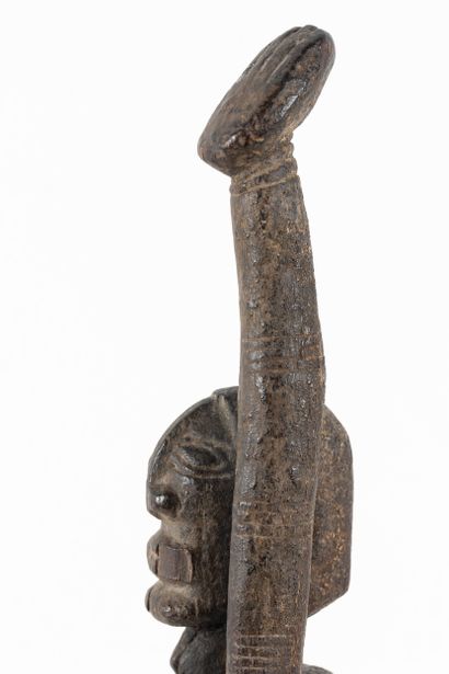 Hermaphroditic fetish depicted standing with...