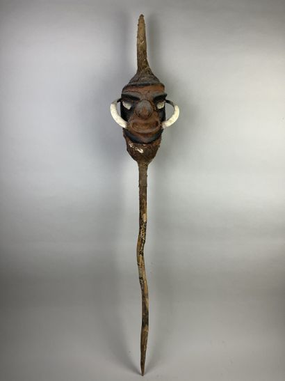 Temes nevinbur with a long-nosed face, oval...