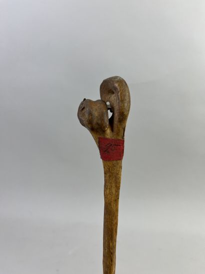 Dagger or fighting pike carved from a tibiotarsus...