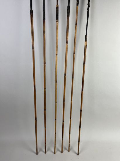 Set of six arrows. Wood, bamboo or rattan...