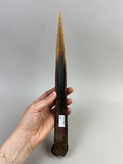 Dagger carved from a tibiotarsus with the...