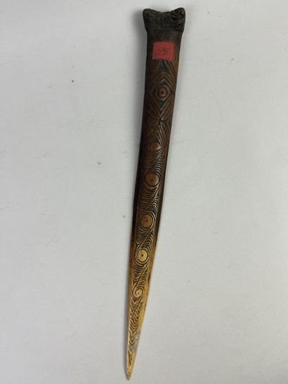 Dagger carved from a tibiotarsus with the...