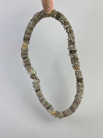 Crown made of a variety of shells (turridae)...