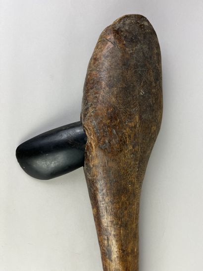 Axe with monoxyle handle and mortised blade....