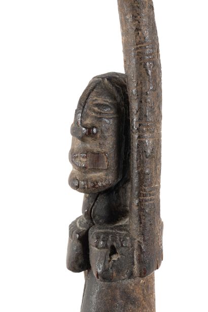Hermaphroditic fetish depicted standing with...