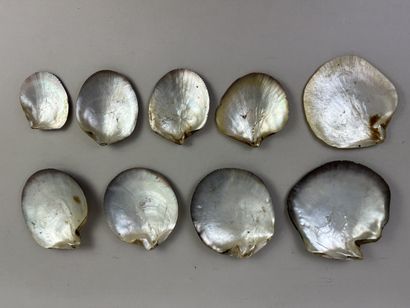 Set of nine mother-of-pearl food spoons (Pinctada...
