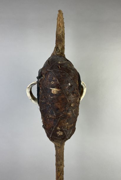 Temes nevinbur with a long-nosed face, oval...