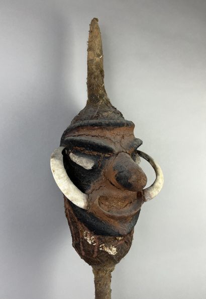 Temes nevinbur with a long-nosed face, oval...