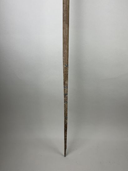 Long stick (or stylized arrow) carved with...