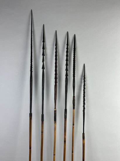Set of six arrows. Wood, bamboo or rattan...
