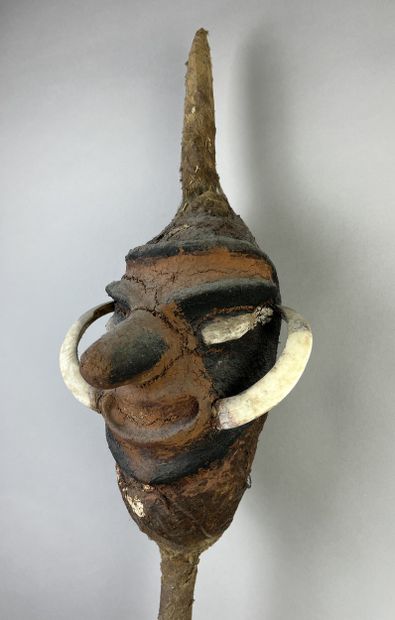 Temes nevinbur with a long-nosed face, oval...