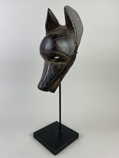 Facial mask representing a wild dog. The...