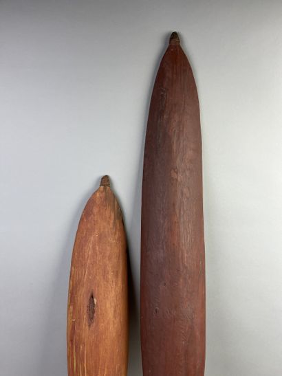 Two propellers or womera. Wood, fiber and...