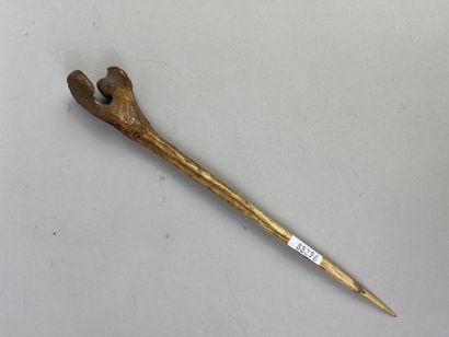 Dagger or fighting pike carved from a tibiotarsus...