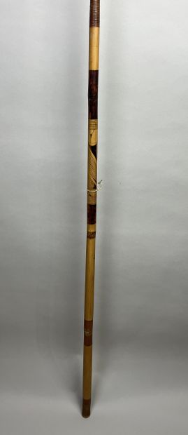 Composite war spear consisting of a hardwood...