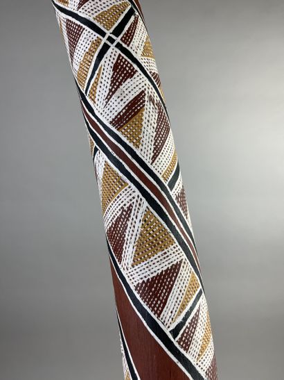 Didjeridoo. A kind of natural trumpet. Eucalyptus...