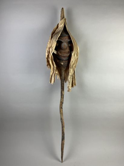 Temes nevinbur with a long-nosed face, oval...