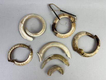 Lot of New Guinea bracelets made of pig tusks,...