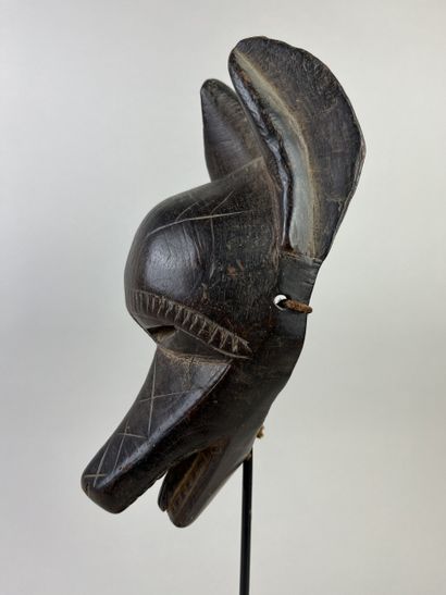 Facial mask representing a wild dog. The...