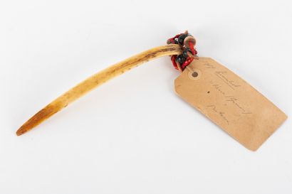 Antique chef's lime spatula. Bone (rib),...