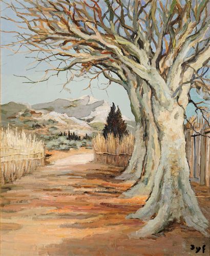 DYF Marcel, 1899-1985
Arbres de Provence...