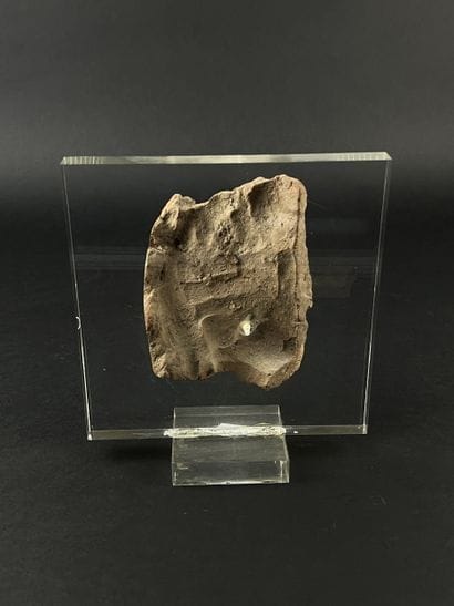 Fragmentary votive head of a young man. Terracotta....