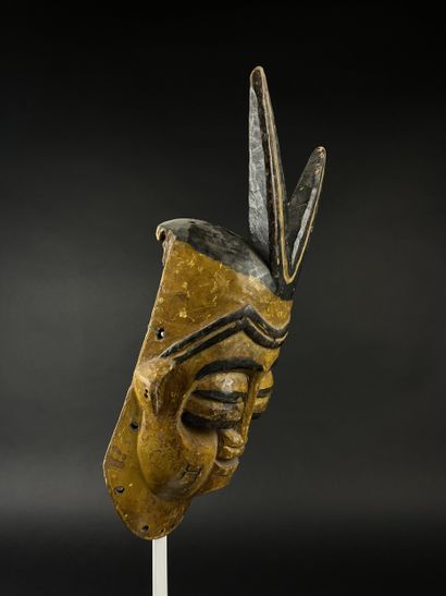 Face mask from the Ekpo society. Polychrome...