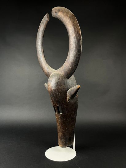 Zoomorphic mask representing a buffalo. Wood...