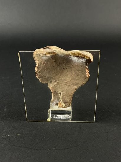 Head from a statuette. Terracotta, lacunae....