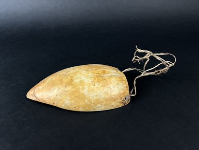 Gam pendant. Shell with fiber fastener (visible...
