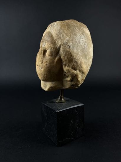 Head representing the helmeted goddess Minerva....