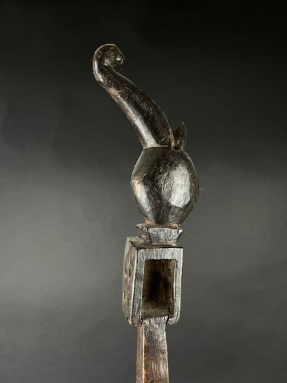 Dhodro Banam. Wooden bowed-string musical...