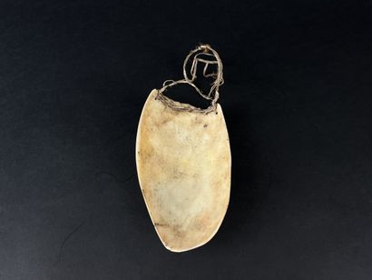 Gam pendant. Shell with fiber fastener (visible...