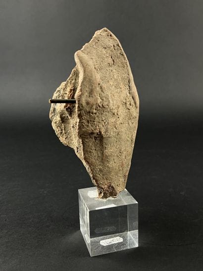 Fragmentary votive head. Terracotta, visible...