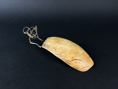 Gam pendant. Shell with fiber fastener (visible...