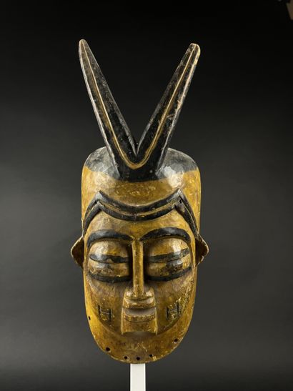 Face mask from the Ekpo society. Polychrome...