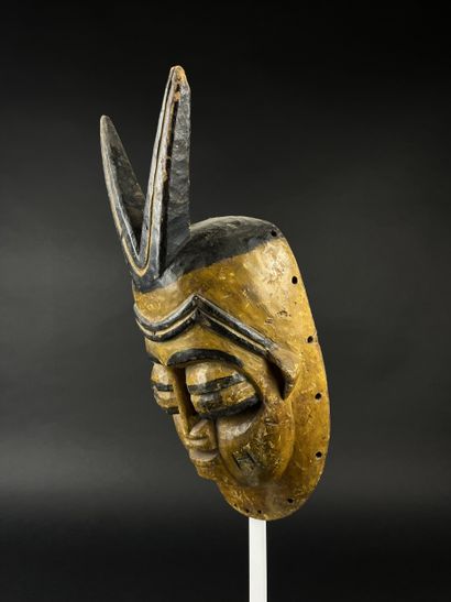 Face mask from the Ekpo society. Polychrome...