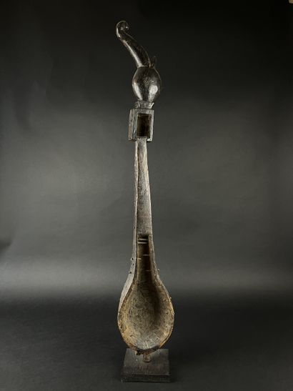 Dhodro Banam. Wooden bowed-string musical...