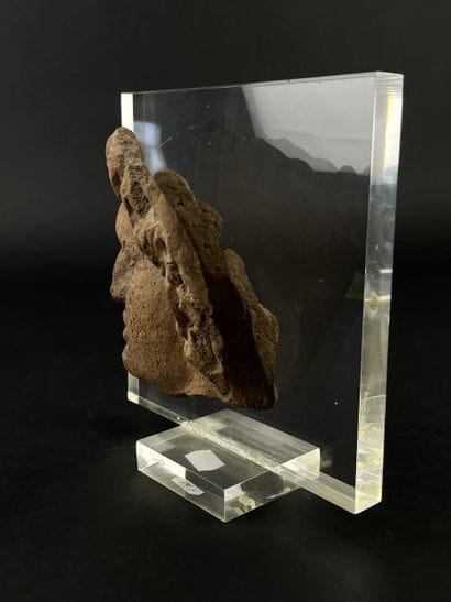 Fragmentary votive head of a young man. Terracotta....