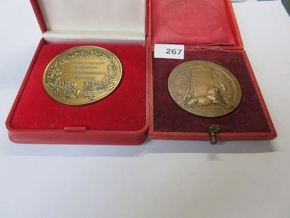 Medals - Lot of 2 medals: Medal 