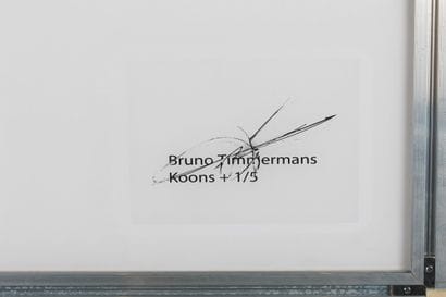 Bruno TIMMERMANS born 1977
