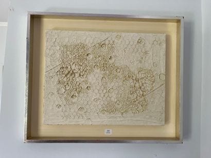 Brigitte de BAECK, 20th-XXIst century
Untitled,...