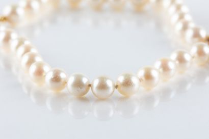 Bracelet featuring a double strand of 56...