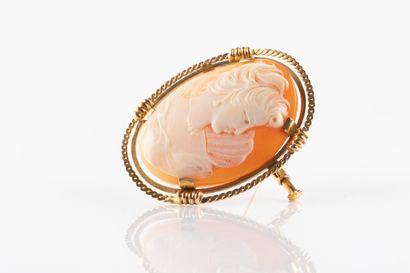 Broche en or jaune centrée d'un camée coquillage...