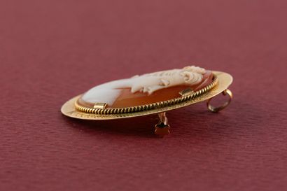 Broche pendentif ovale, centrée d'un camée...