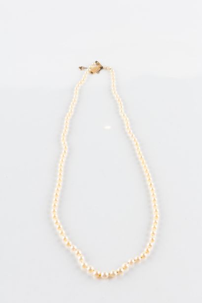 Collier composé de 99 perles de culture en...