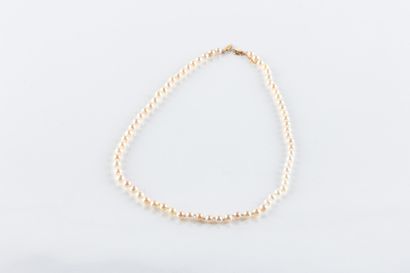 Collier composé de 61 perles de culture,...
