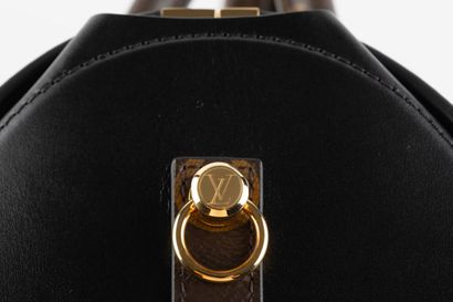 LOUIS VUITTON
Sac à main modèle 