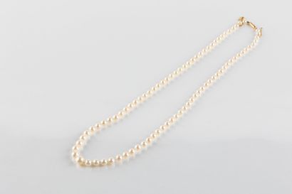 Necklace with 83 drop cultured pearls, diameters...
