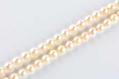 Necklace with 107 cultured pearls, diameter...
